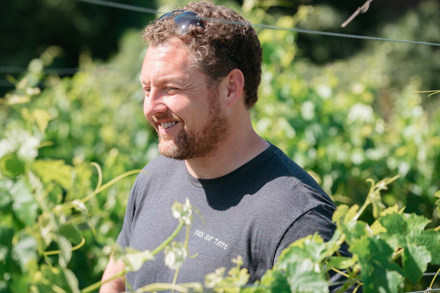 Ryan standing in the middle of a vineyard in Paso Robles